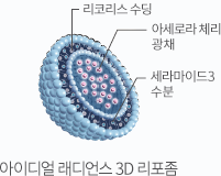 아이디얼 래디언스 3D 리포좀 : 레시틴, 세라마이드, 비타민C 유도체, 스테롤