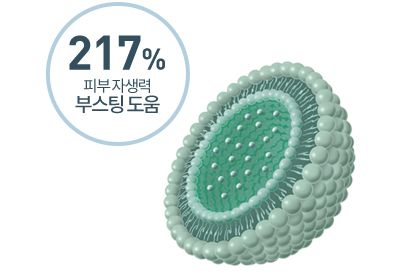 217% 피부자생력 부스팅 도움