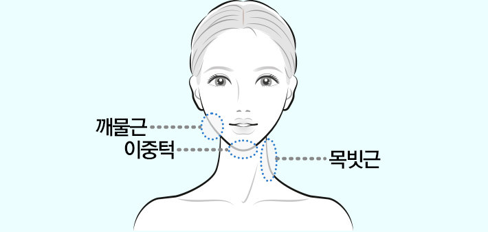 깨물근, 이중턱, 목빗근 근육 표시