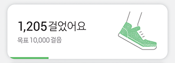 오늘의 걸은 수
