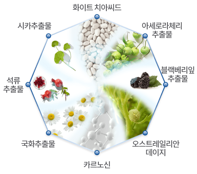 화이트 치아씨드, 아세로라체리 추출물, 블랙베리잎 추출물, 오스트레일리안 데이지, 카르노신, 국화추출물, 석류추출물, 시카추출물 원료 이미지