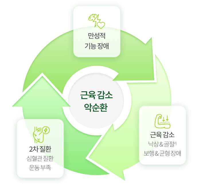 근육 감소 악순환