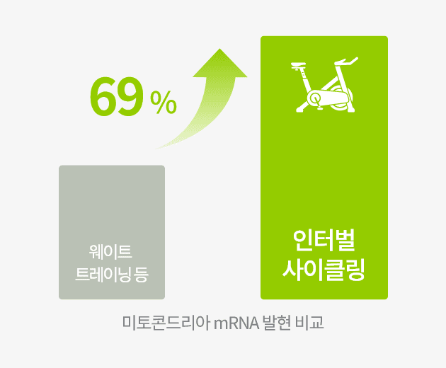 웨이트 트레이닝 등 보다 인터벌 사이클링 시 69 % 증가 표현 이미지