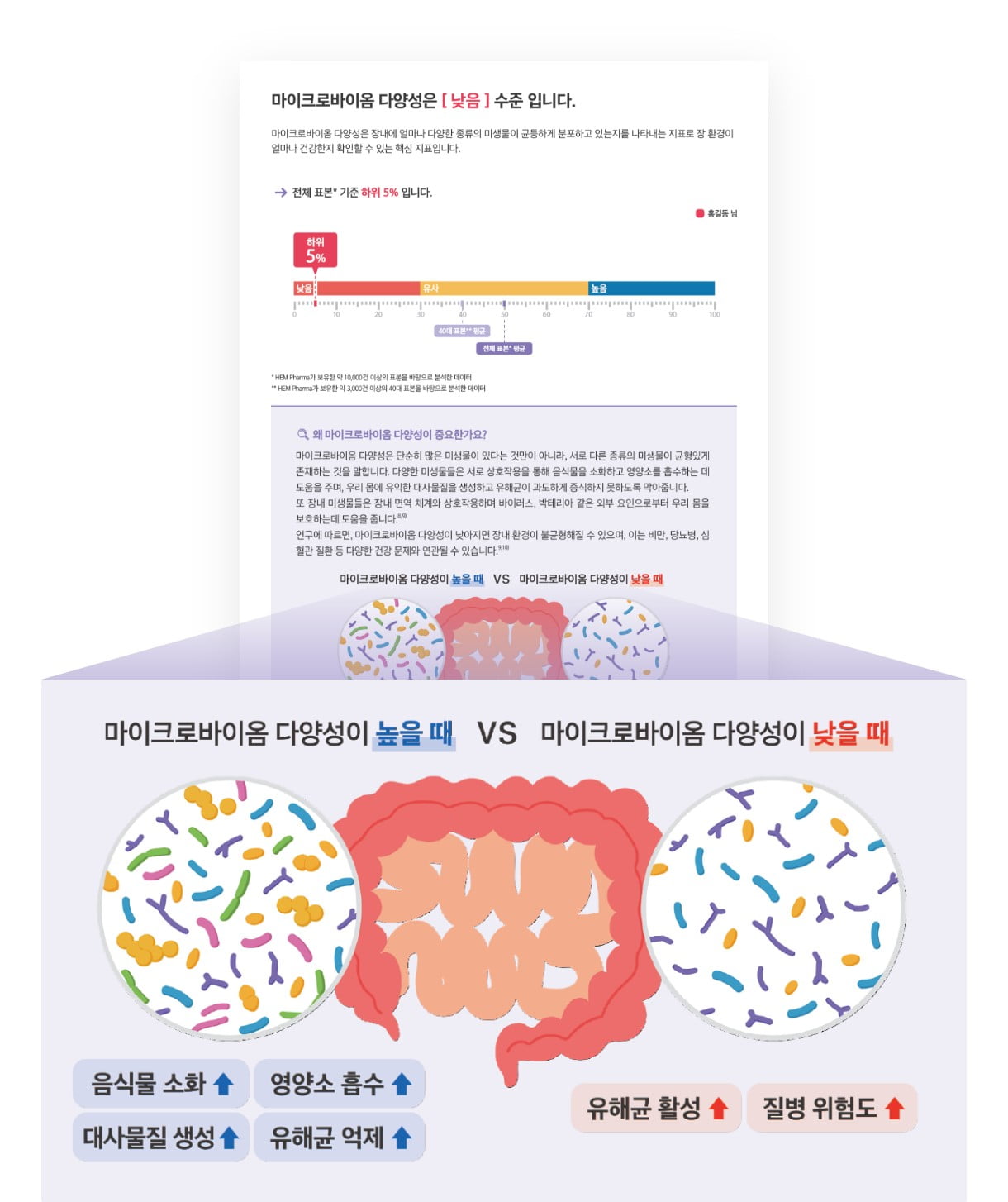 마이크로바이옴 다양성이 높을때 VS 마이크로바이옴 다양성이 낮을때 비교 이미지