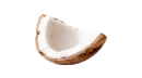 코코넛 이미지