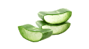 알로에 이미지