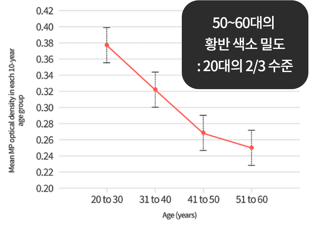 50~60대의 황반 색소 밀도 : 20대의 2/3 수준 그래프 안내 이미지