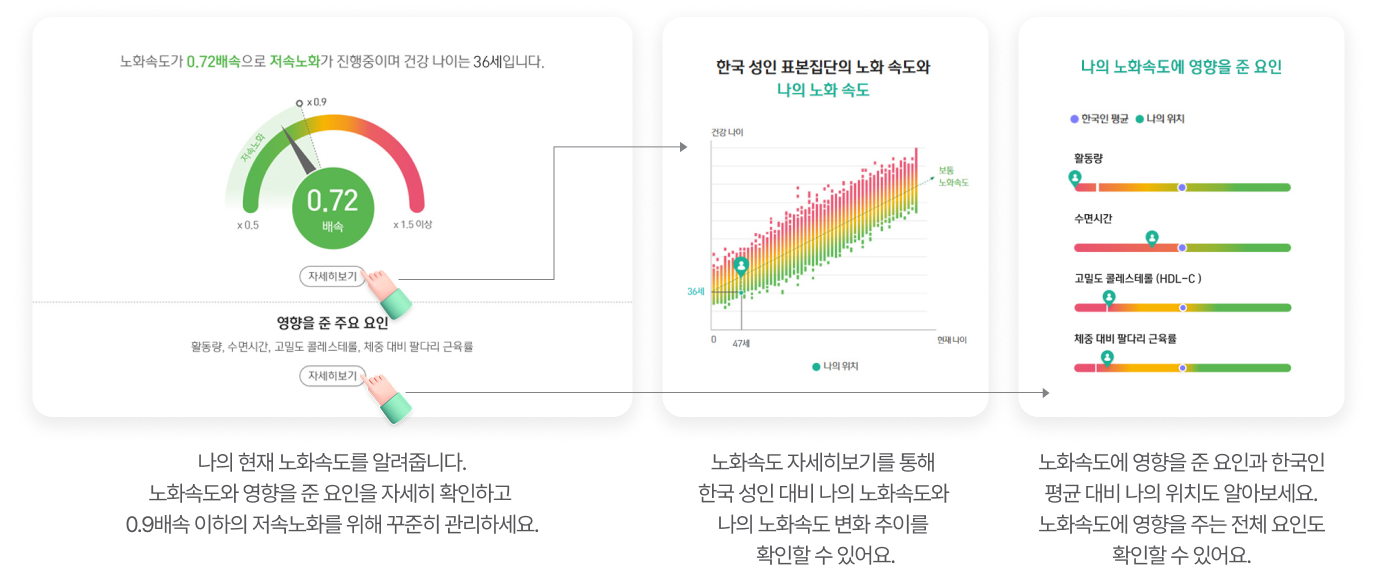나의 현재 노화속도를 알려줍니다.노화속도와 영향을 준 요인을 자세히 확인하고 0.9배속 이하의 저속노화를 위해 꾸준히 관리하세요. / 노화속도 자세히보기를 통해 한국 성인 대비 나의 노화속도와 나의 노화속도 변화 추이를 확인할 수 있어요. / 노화속도에 영향을 준 요인과 한국인 평균 대비 나의 위치도 알아보세요. 노화속도에 영향을 주는 전체 요인도 확인할 수 있어요.