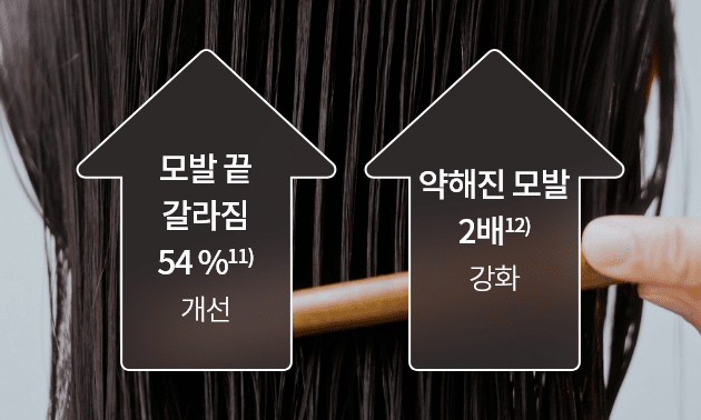 모발 끝 갈라짐 54%11) 개선 / 약해진 모발 2배12) 강화