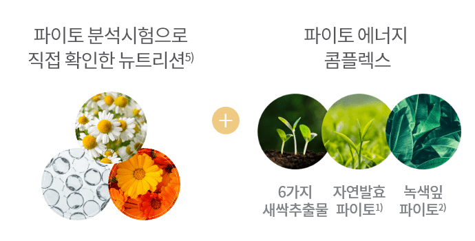 파이토 분석시험으로 직접 확인한 뉴트리션5) (캐모마일 꽃 오일 영양성분) + 파이토 에너지 콤플렉스 (6가지 새싹추출물, 자연발표 파이토,녹색잎 파이토) 이미지