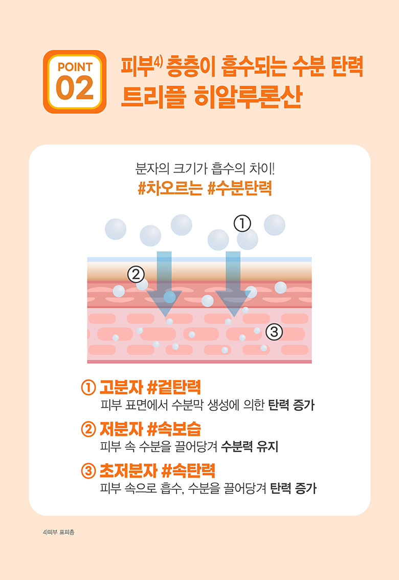 POINT 02 피부4) 층층이 흡수되는 수분 탄력 트리플 히알루론산 분자의 크키가 흡수의 차이! #차오르는 #수분탄력 ①고분자 #겉탄력 - 피부 표면에서 수분막 생성에 의한 탄력 증가 ②저분자 #속보습 - 피부 속 수분을 끌어당겨 수분력 유지 ③초저분자 #속탄력 - 피부 속으로 흡수, 수분을 끌어당겨 탄력 증가 4) 피부 표피층