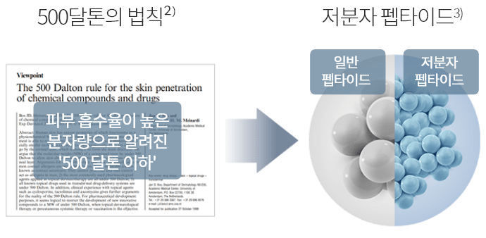 500달톤의 법칙2) : 피부 흡수율이 높은 분자량으로 알려진 '500 달톤 이하' -> 저분자 펩타이드3) : 일반 페타이드 / 저분자 펩타이드