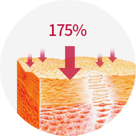 흡수율 175% 표현이미지