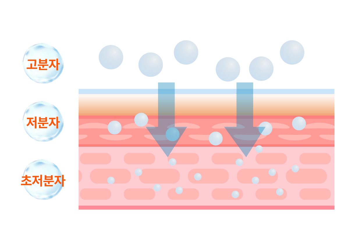 피부층에 흡수되는 분자의 깊이 표현 이미지