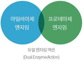 듀얼 엔자임 액션(Dual Enzyme Action) 도표