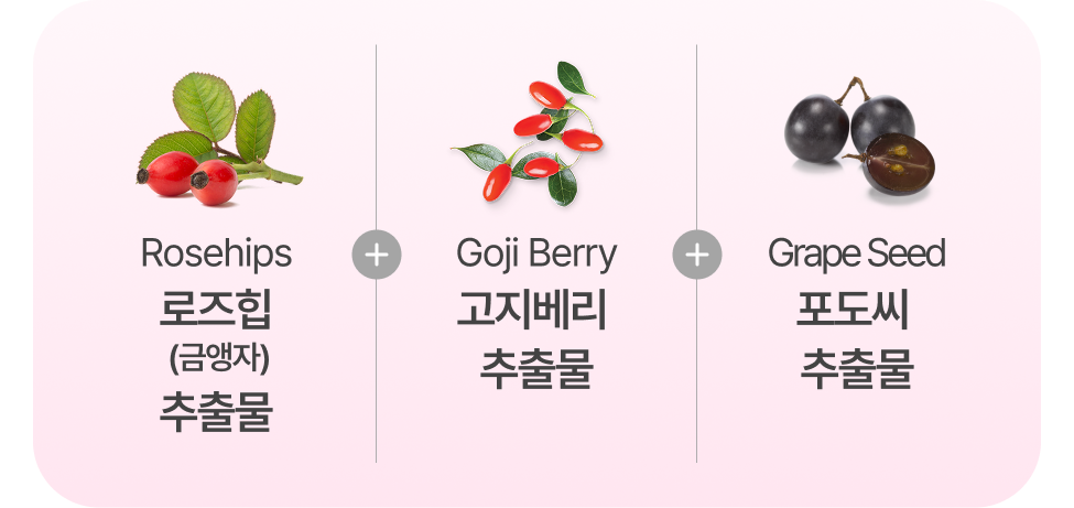 로즈힙 (금앵자) 추출물 + 고지베리 추출물 + 포토씨 추출물 이미지