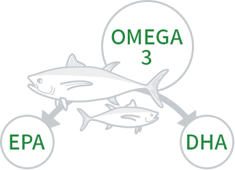 OMEGA-3 관련 이미지