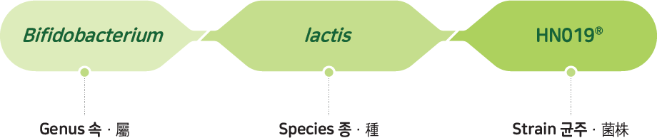 속 属(Genus):Lactobacillus, 종 種(Species):acidophilus, 균주 菌株(Strain):NCFM