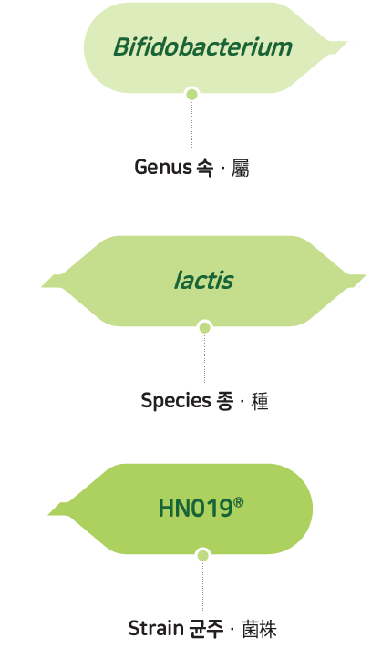 속 属(Genus):Lactobacillus, 종 種(Species):acidophilus, 균주 菌株(Strain):NCFM