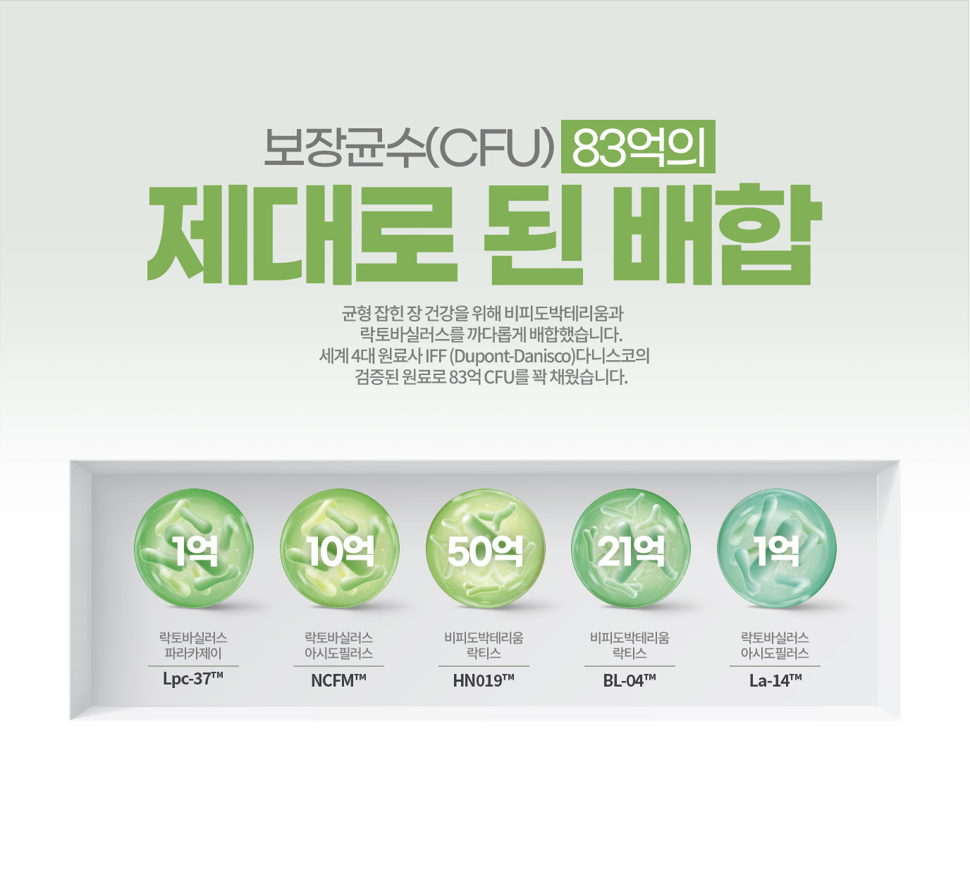 보장균수(CFU) 83억의 제대로 된 배합