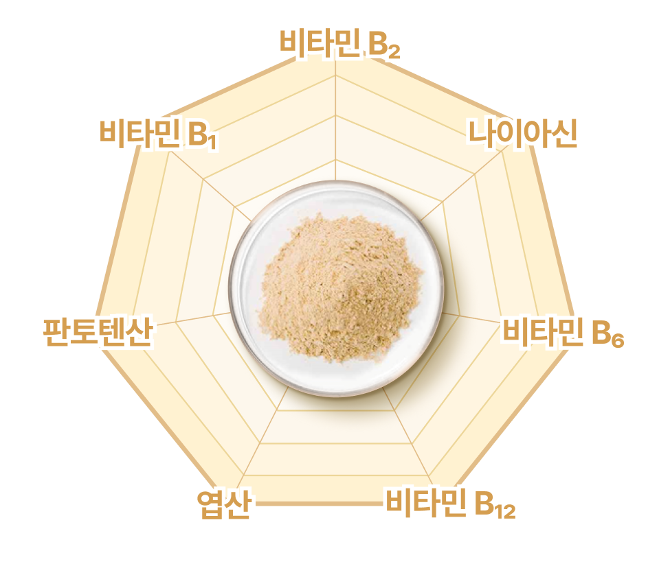 비타민B2, 나이아신, 비타민B6, 비타민B12, 엽산, 판토텐산, 비타민B1 로 이루어진 이미지