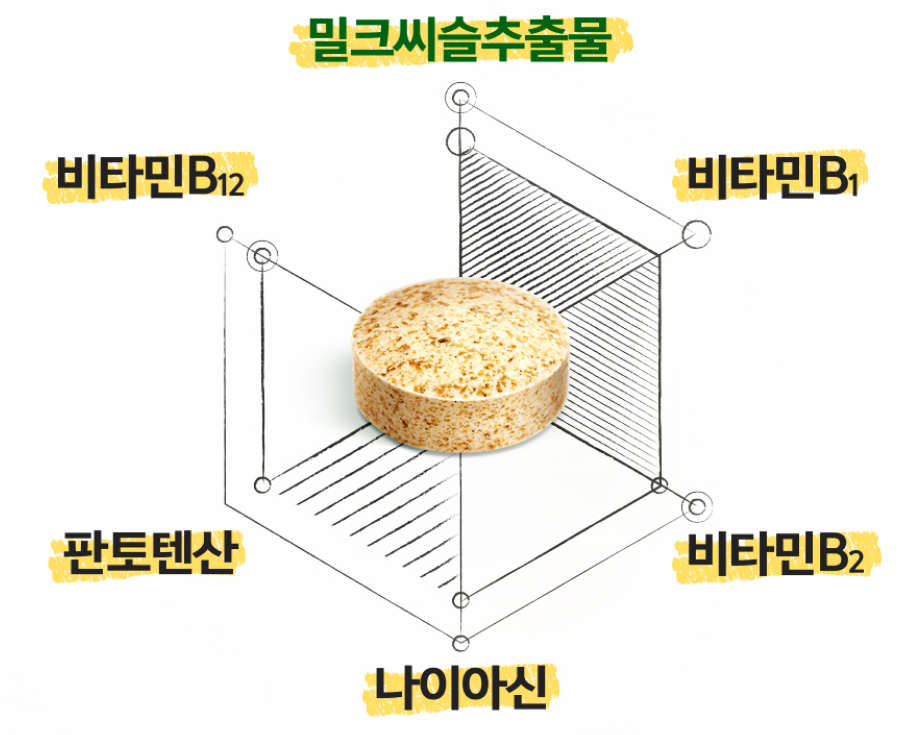 5가지 비타민 B군 표현 이미지