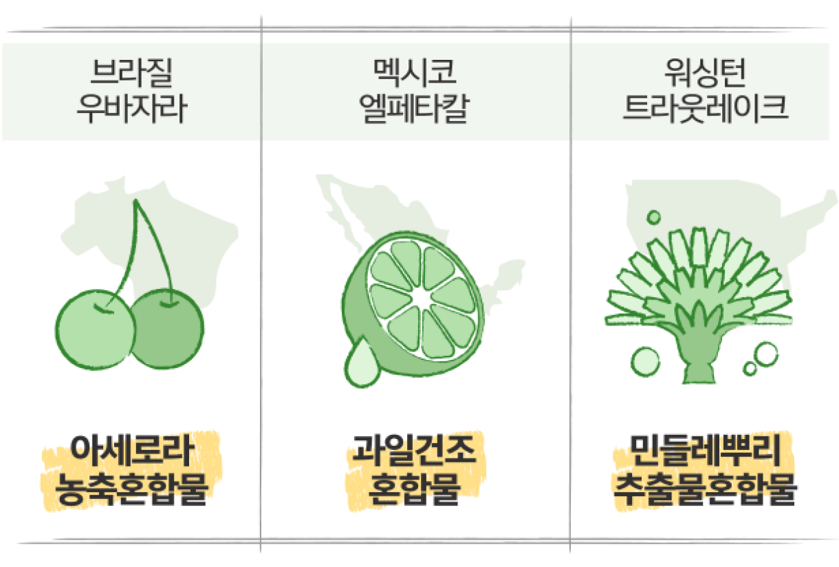 브라질 우바자라(아세로라 농축혼합물), 멕시고 엘페타칼(과일건조 혼합물), 워싱턴 트라웃레이크(민드레뿌리 추출물혼합물)