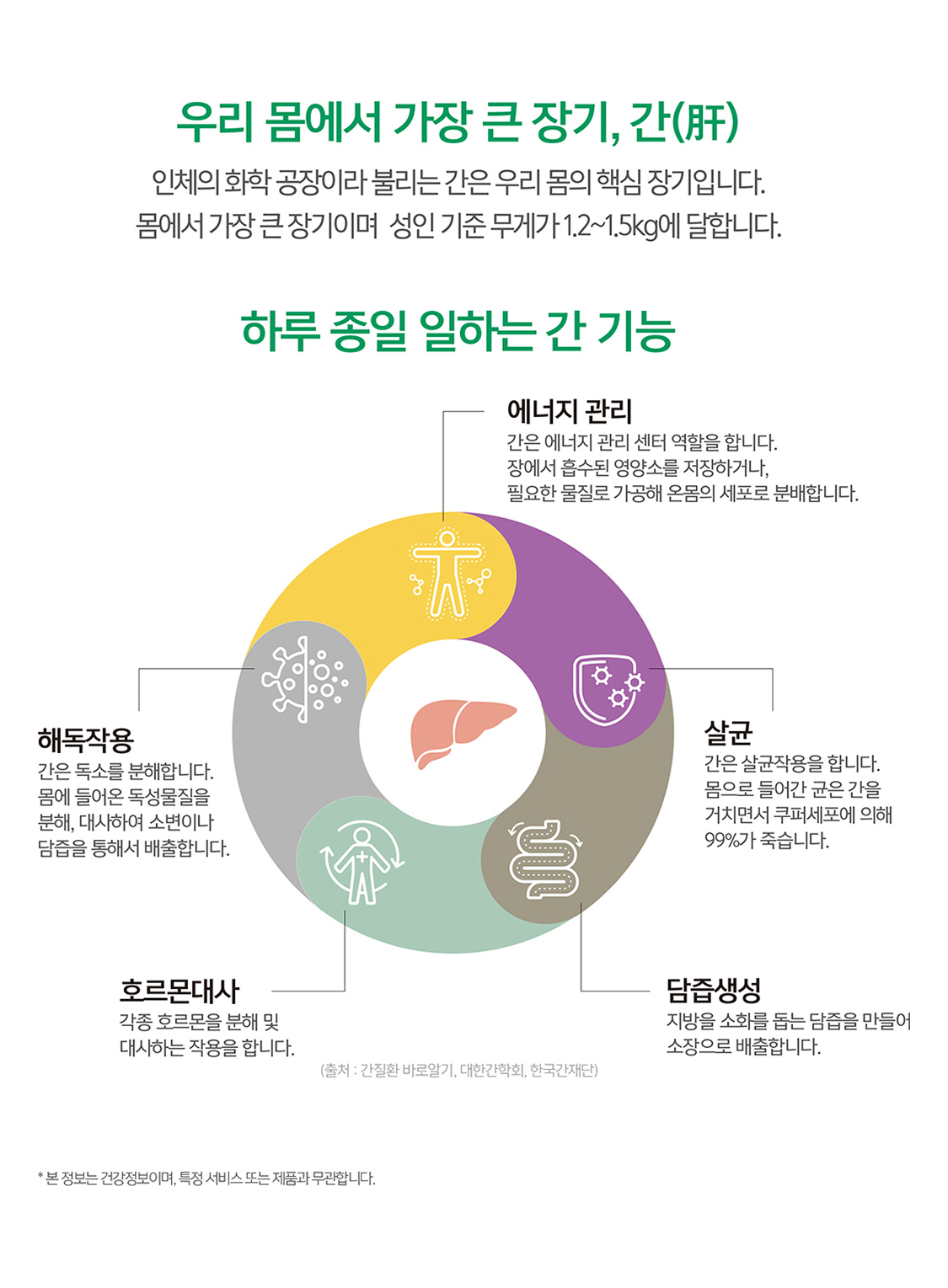 우리 몸에서 가장 큰 장기, 간 인체의 화학 공장이라 불리는 간은 우리 몸의 핵심 장기입니다. 몸에서 가장 큰 장기이며 성인 기줌 무게가 1.2~1.5kg에 달합니다. 하루 종일 일하는 간 기능(에너지 관리, 살균, 담즙생성, 호르몬대사, 해독작용)