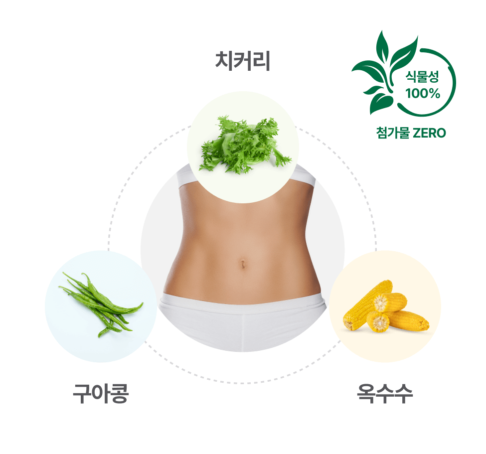 식물성 100% 첨가물 ZERO 치커리 구아콩 옥수수