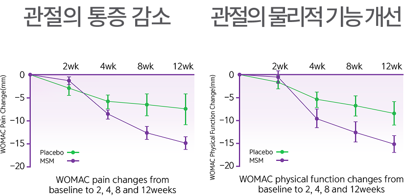 관절의 통증 감소, 관절의 물리적 기능 개선 각각 그래프