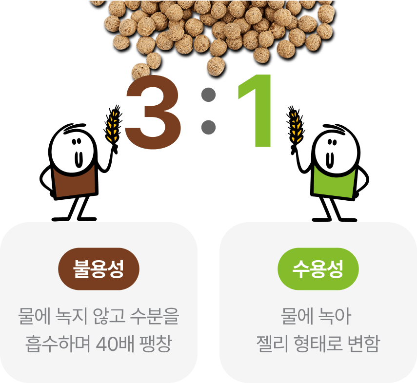 3:1 불용성- 물에 녹지 않고 수분을 흡수하며 40배 팽창 /수용성 - 물에 녹아 젤리 형태로 변홤