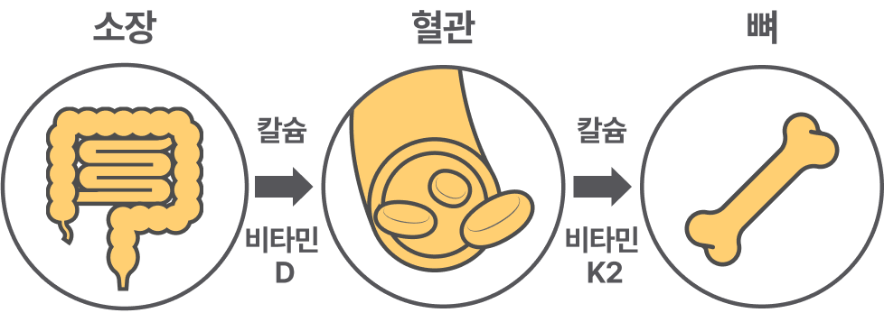 관련 이미지