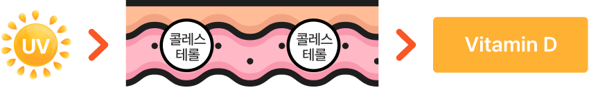 관련 이미지
