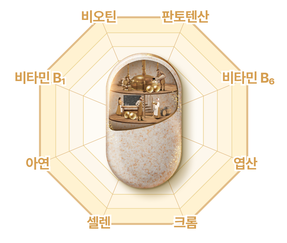 관련 이미지