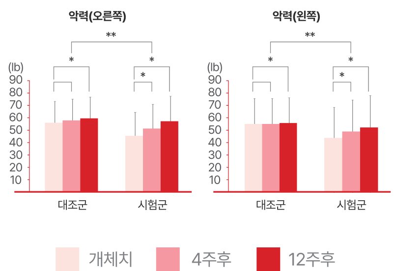 악력 대조군, 시험군 그래프