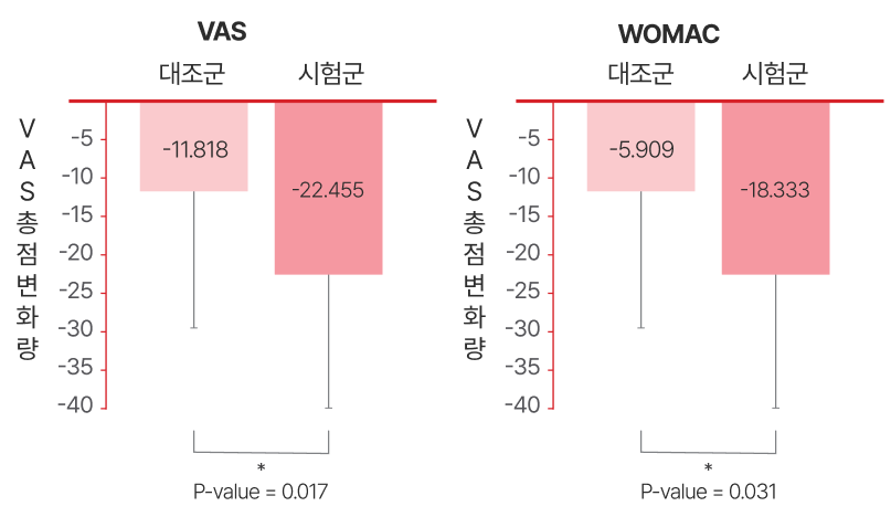 VAS, WOMAC 그래프
