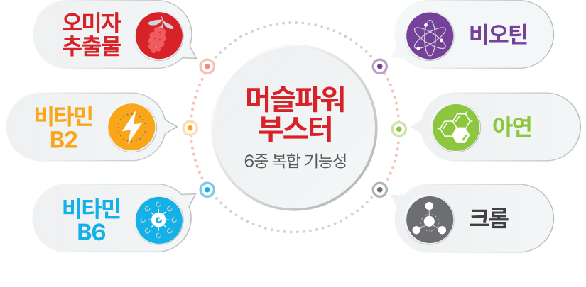 머슬파워 부스터 6중 복합 기능성. 오미자 추출물, 비타민 B2, 비타민 B6, 비오틴, 아연, 크롬