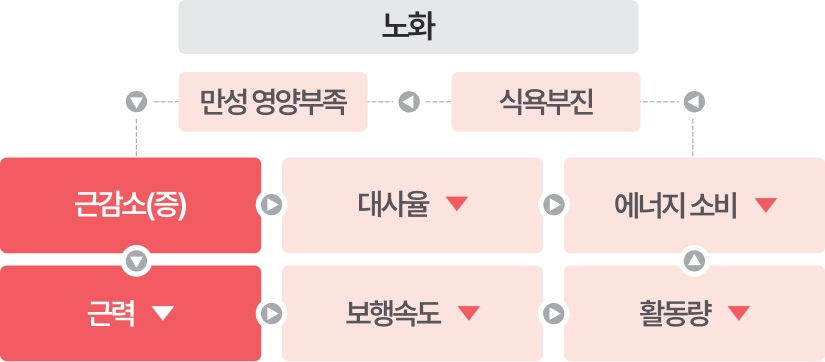 관련 이미지