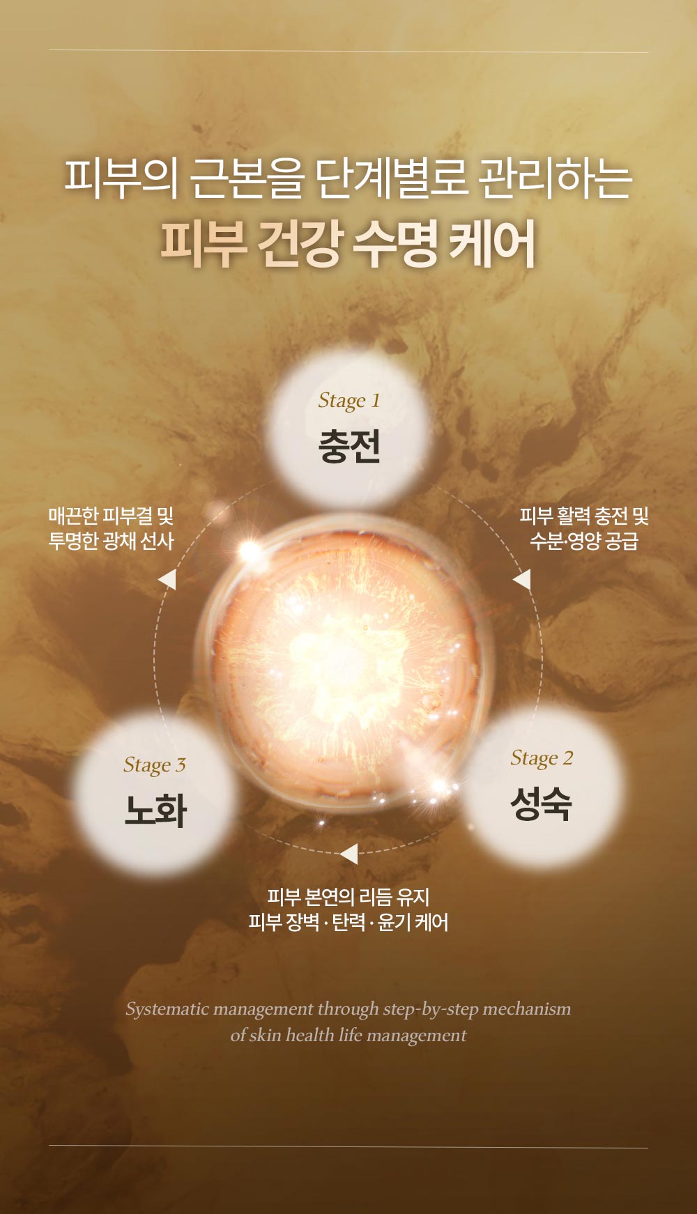 피부의 근본을 단계별로 관리하는 피부 건강 수명 케어