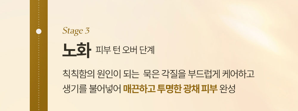 Stage3 노화 피부 턴 오버 단계