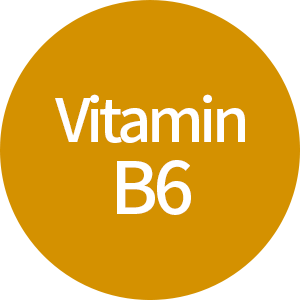 비타민 B6 텍스트