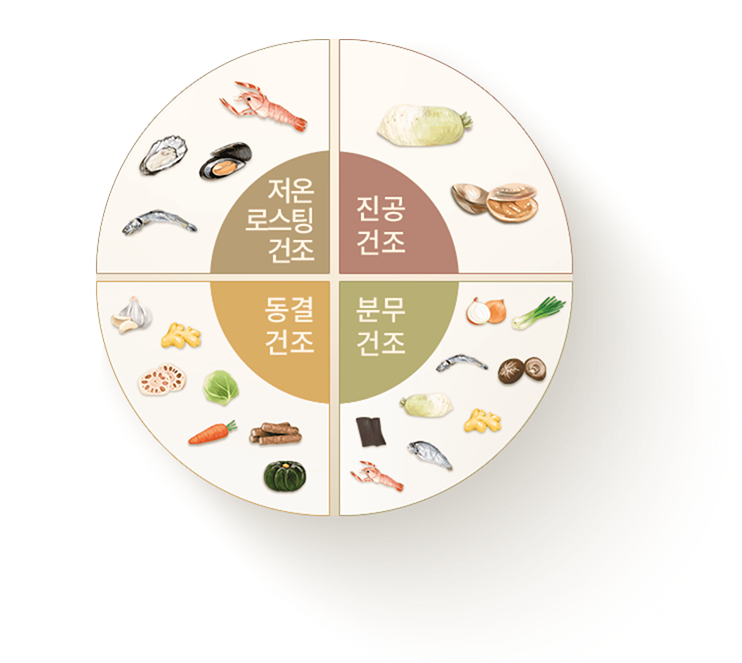 4가지 건조 비법 - 저온 로스팅 건조, 진공 건조, 동결 건조, 분무 건조 표현 이미지