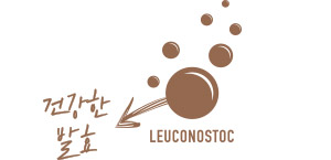 LEUCONOSTOC 유산균 이미지