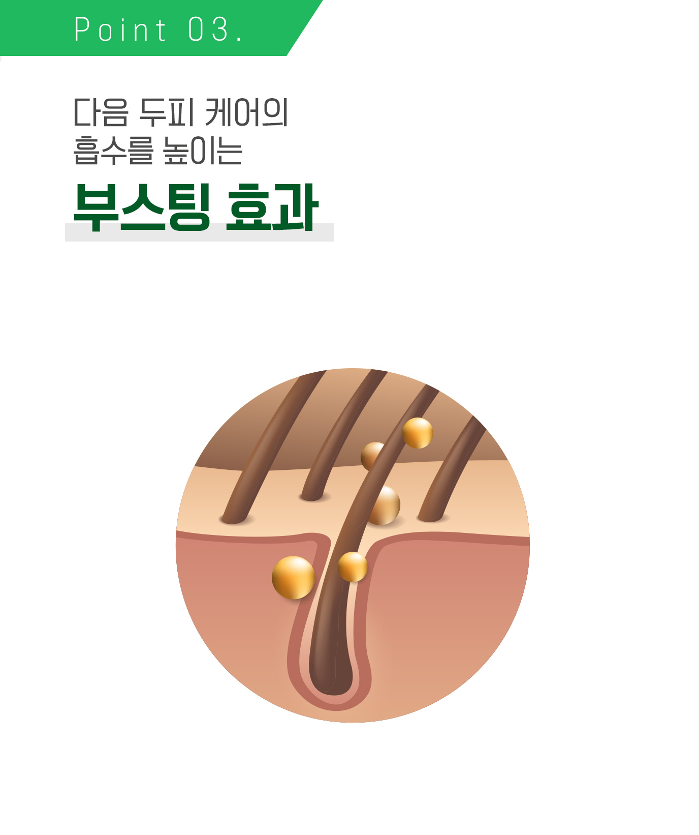 Point 03. 다음 두피 케어의 흡수를 높이는 부스팅 효과 / 두피 모공 일러스트