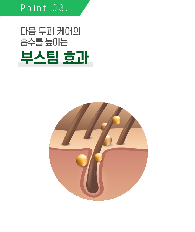 Point 03. 다음 두피 케어의 흡수를 높이는 부스팅 효과 / 두피 모공 일러스트